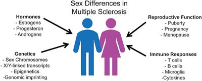 SeXX Matters in Multiple Sclerosis